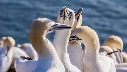 C7娱乐|青少年体育赛事v7.2.6